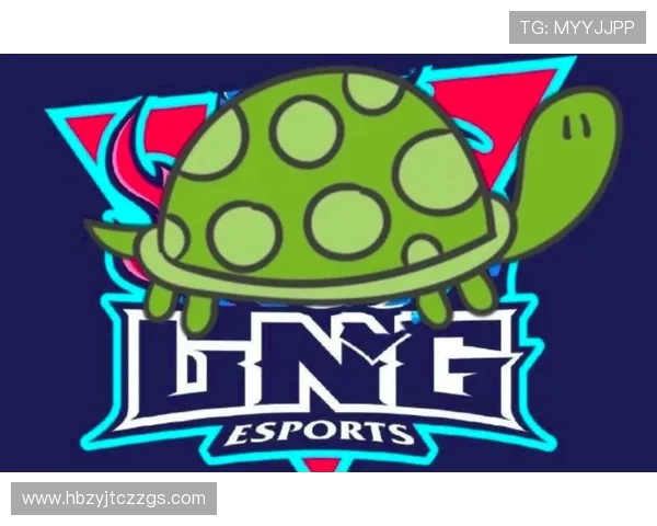 LNG战队的拼搏历程与荣耀时刻全景回顾