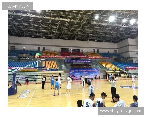 深圳篮球队实力分析与数据解读：赛季表现全面剖析与未来展望